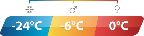 Constellation Lux XL Blue