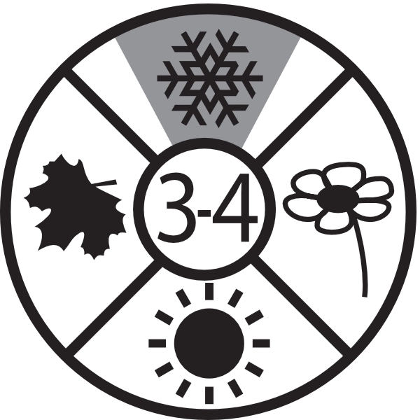 Constellation Lux Double Green