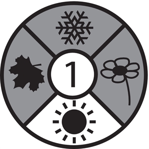 Champ Kids Forest Green