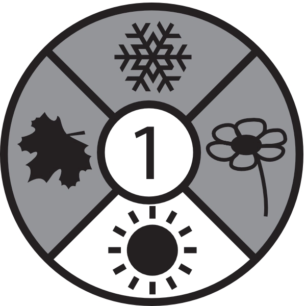 Champ Kids Forest Green