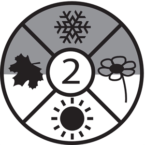 Convertible Junior Dark Blue