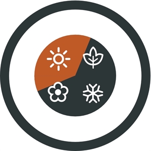 Starling Mummy Blue Jr.