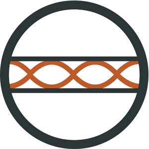 Starling Mummy Blue Jr.