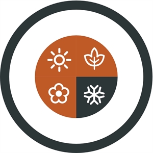 Falcon II Mummy -1°C