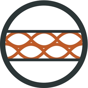 Falcon II Mummy -1°C